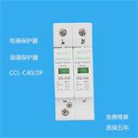 CCL-C40/2P电涌保护器
